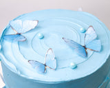 Trendy Butterfly Cake